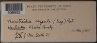 Image Associated With the Occurence